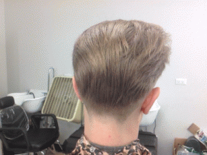 BWE_haircut